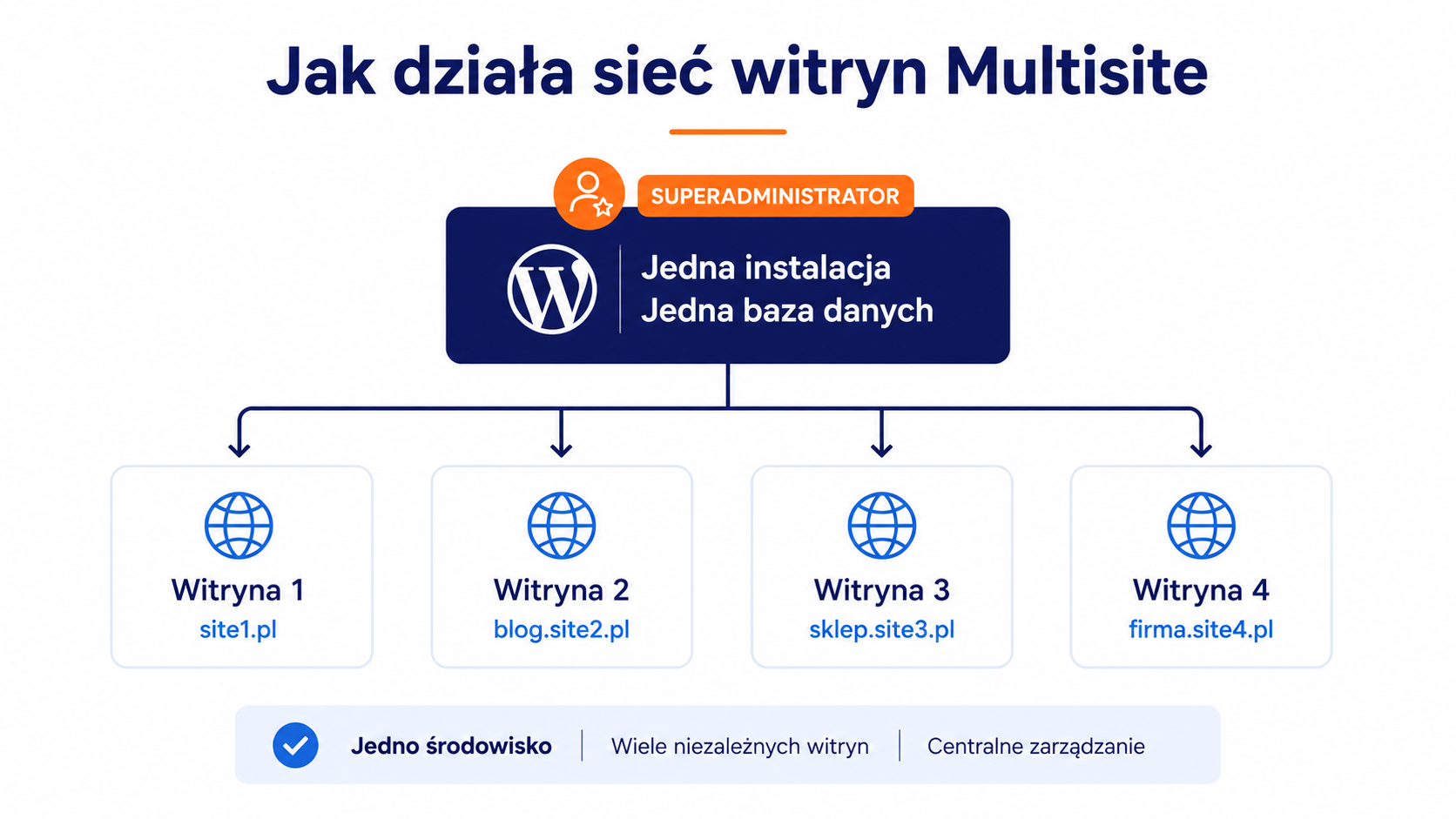 Jak działa sieć witryn Multisite?